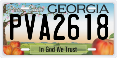 GA license plate PVA2618