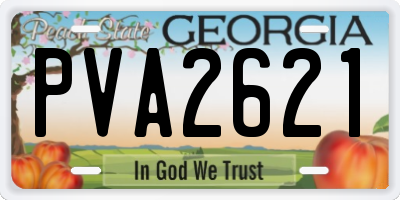 GA license plate PVA2621
