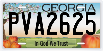 GA license plate PVA2625