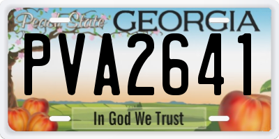 GA license plate PVA2641