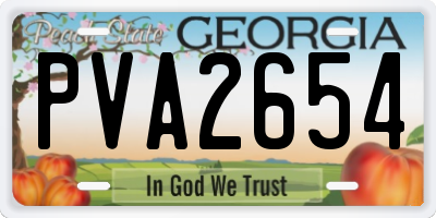 GA license plate PVA2654