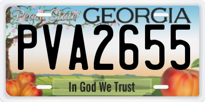 GA license plate PVA2655