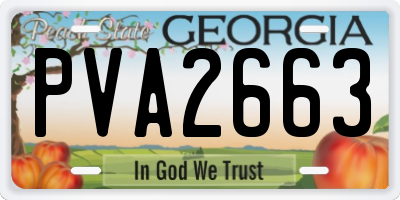 GA license plate PVA2663