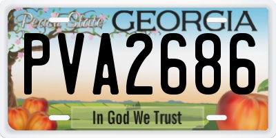 GA license plate PVA2686
