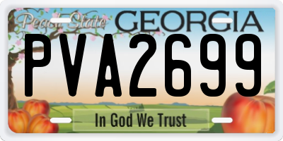 GA license plate PVA2699