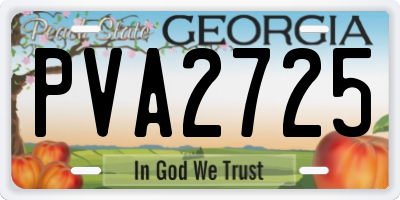 GA license plate PVA2725
