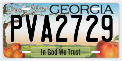 GA license plate PVA2729