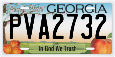 GA license plate PVA2732
