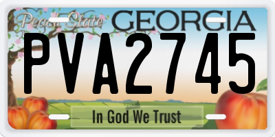 GA license plate PVA2745
