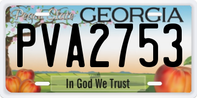 GA license plate PVA2753