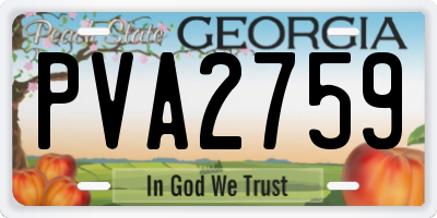 GA license plate PVA2759