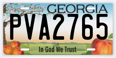 GA license plate PVA2765