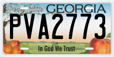 GA license plate PVA2773