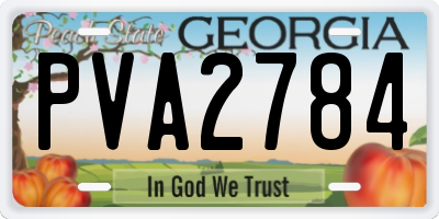 GA license plate PVA2784