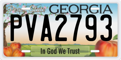 GA license plate PVA2793