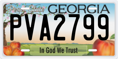 GA license plate PVA2799