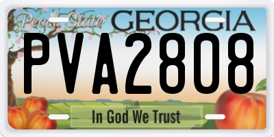 GA license plate PVA2808