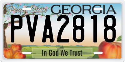 GA license plate PVA2818