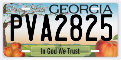GA license plate PVA2825