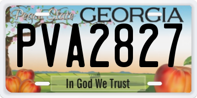 GA license plate PVA2827