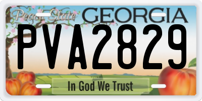 GA license plate PVA2829