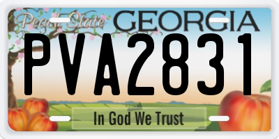 GA license plate PVA2831