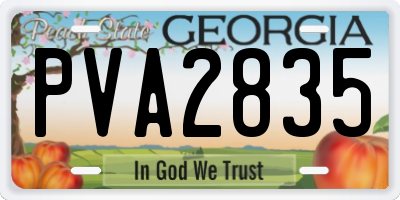 GA license plate PVA2835