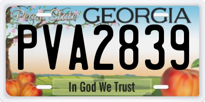 GA license plate PVA2839