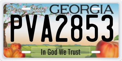 GA license plate PVA2853