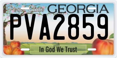 GA license plate PVA2859