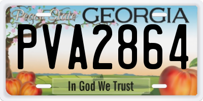 GA license plate PVA2864