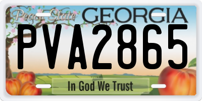 GA license plate PVA2865