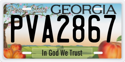 GA license plate PVA2867