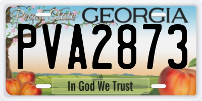 GA license plate PVA2873