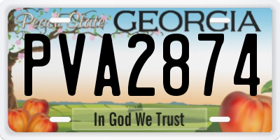 GA license plate PVA2874