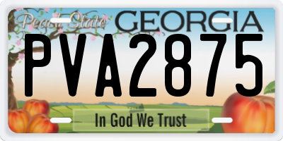 GA license plate PVA2875