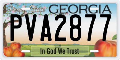 GA license plate PVA2877