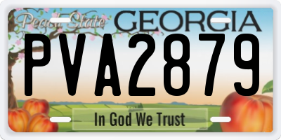GA license plate PVA2879