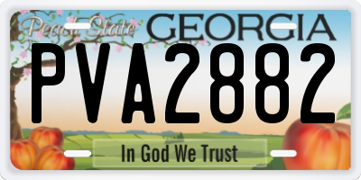 GA license plate PVA2882