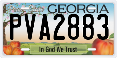 GA license plate PVA2883