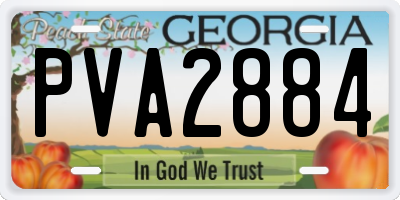 GA license plate PVA2884
