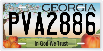 GA license plate PVA2886