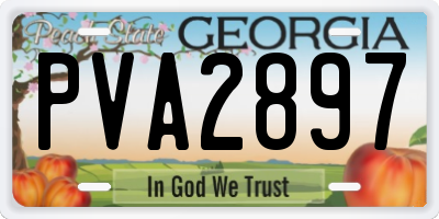 GA license plate PVA2897