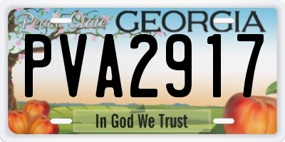 GA license plate PVA2917