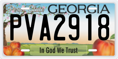 GA license plate PVA2918