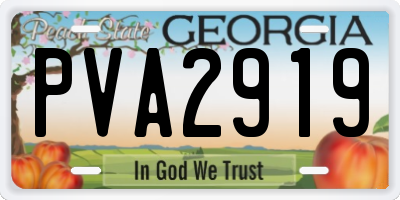 GA license plate PVA2919