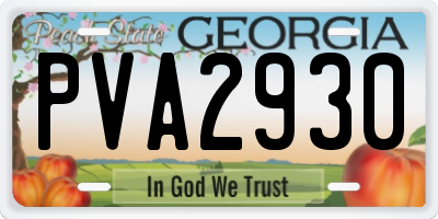 GA license plate PVA2930