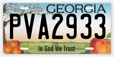 GA license plate PVA2933
