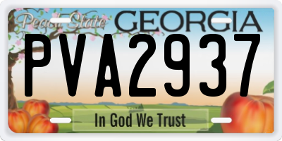 GA license plate PVA2937