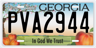 GA license plate PVA2944